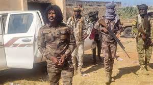RSF fighter ‘Abu Lulu’, accused of atrocities in Sudan's el-Fasher, freed