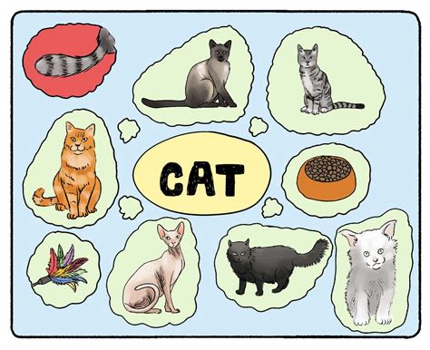 Assimilation vs Accommodation (Definition and Examples) - Practical ...