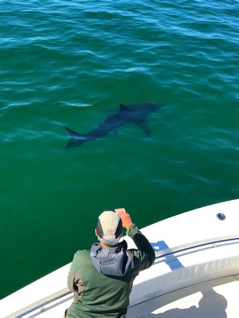 BlueWater Entertainment - Chatham, Cape Cod, Fishing, Whale Watching ...