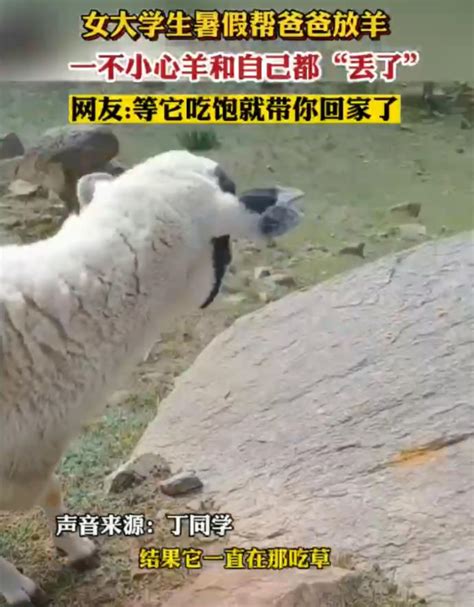 女大学生暑假放羊把自己和羊放丢，网友评论才叫一个绝-怡风网