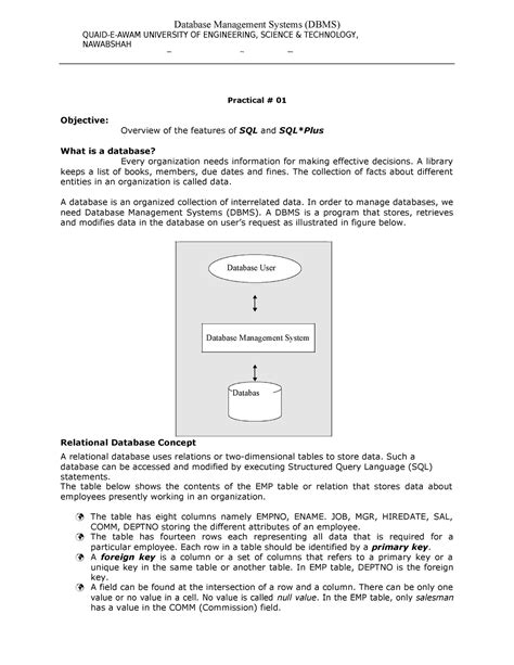 Database Practicals 的图像结果