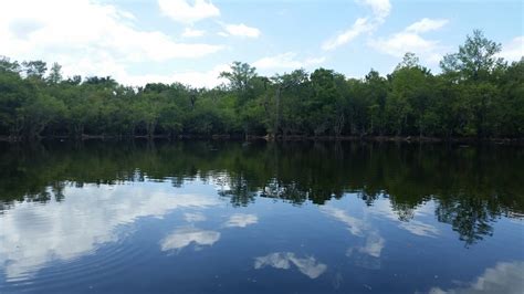 Hunting - Welcome to Paradise!