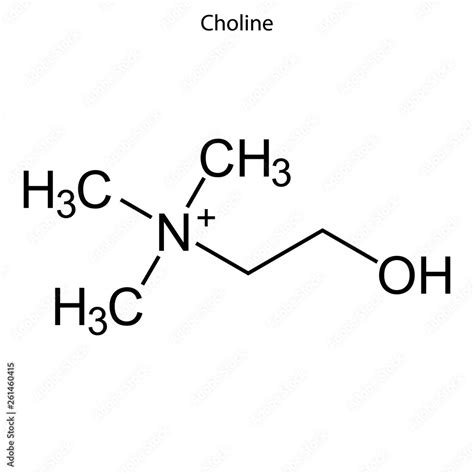 Image result for Skeleton Formulas