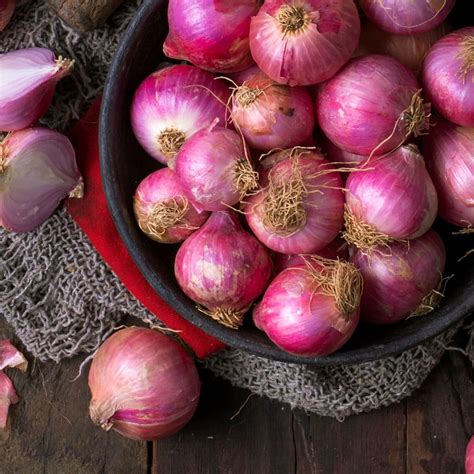 All 10 Vegetables That Start With I: 2025 Edition!