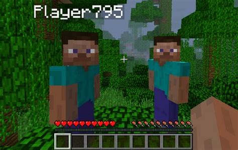 Image result for How to Turn Off Player Names in Minecraft Java