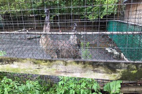 PETA saves 65 neglected animals from roadside zoo
