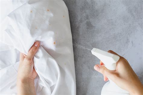 How to Identify and Clean Bed Bug Stains
