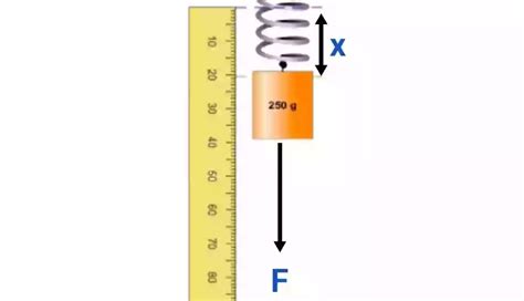 Image result for What Is the Spring Constant of a Spring