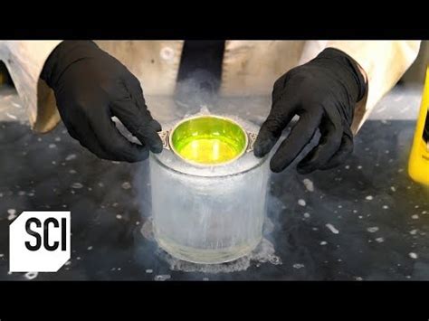 Science Channel Full Episodes 的图像结果