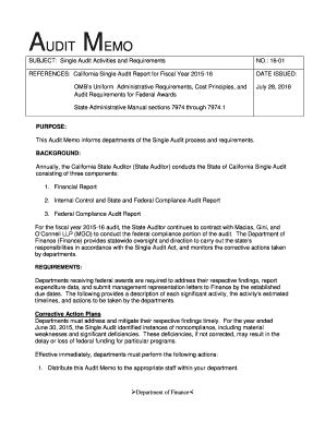 Fillable Online AUDIT MEMO Fax Email Print - pdfFiller