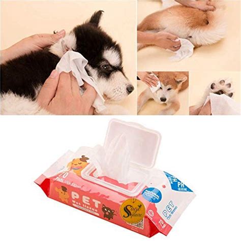 Sage Square Portable Hygienic Multipurpose Natural Moisturizing Pet Wet ...