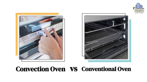 Convection Oven vs. Conventional Oven: 5 Key Differences & How to Cook ...