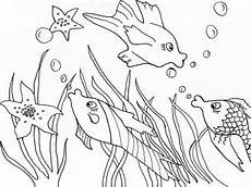 katzenbabys ausmalbilder nashorn zum ausmalen inspirierend einhorn mandalas zum katzenbabys ausmalbilder nashorn zum ausmalen inspirierend einhorn mandalas zum