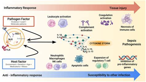 Extracorporeal Cytokine Adsorption in Sepsis: Current Evidence and ...