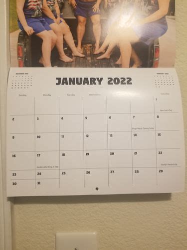 Trailer Trash Tammy Reviews