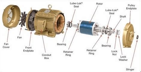 Image result for Motor Exploded-View