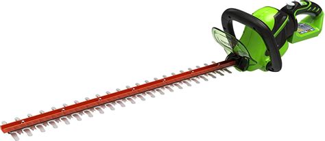 Buy Greenworks 40V 8-Inch Cordless Polesaw, 2.0Ah Battery and Charger ...