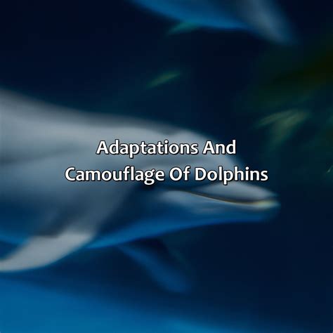 Dolphin Color 的图像结果