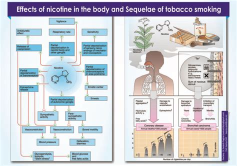 Museum - Vasantidevi Patil Institute of Pharmacy