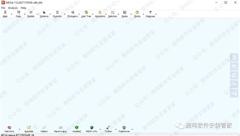 Mega Software Installation 的图像结果