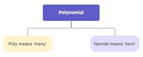 Image result for Maths Chapter Polynomial Class 10