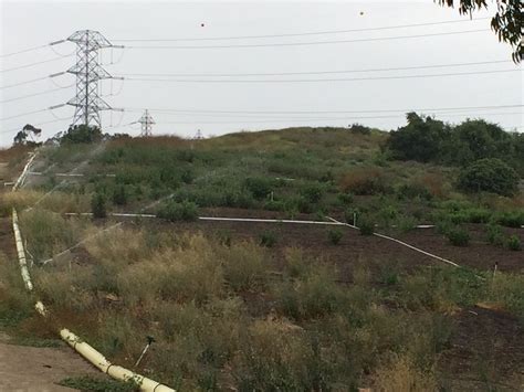 60-Acre Habitat Restoration Project to Enhance Powder Canyon- Update - Puente Hills Habitat ...