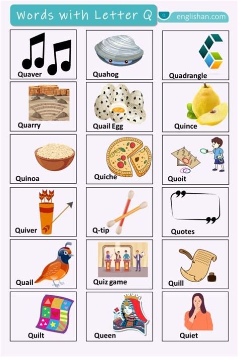 Words with Letter Q with Pictures • Englishan