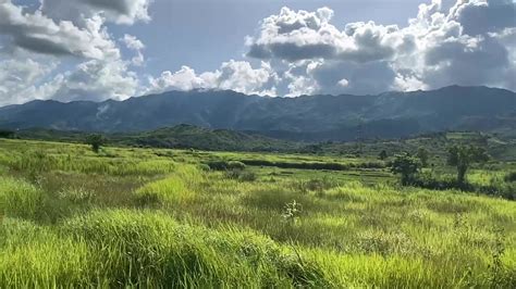 Ethnic conflict leaves farmlands abandoned in Manipur, threatens ...