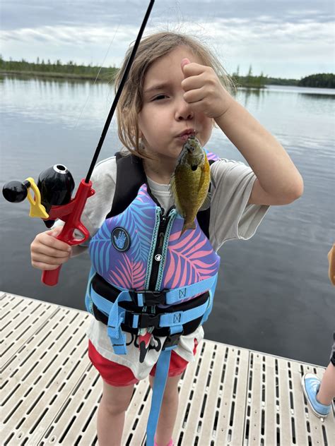 Top Things to Do With Kids - Hayward Area Chamber of Commerce - Explore ...