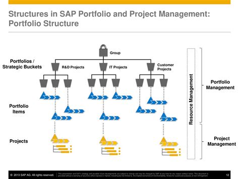 Image result for PPM SAP Structure Portfolio