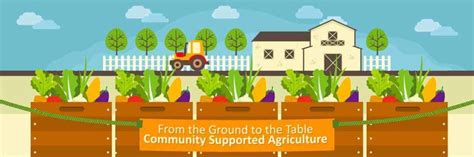 Community Supported Agriculture 的图像结果