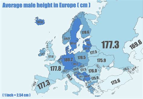 Average Male Height Per Country at Ronald Alvarez blog