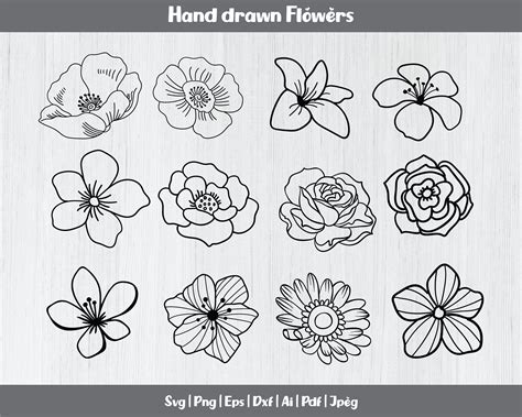 Hand Drawn Flowers Svg Bundle Roses Svg Flower Svg Cut - Etsy