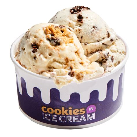 back to menu ice cream in a cup 2 scoops 2oz per scoop of refreshing ...