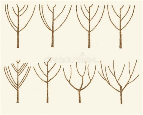 Image result for How to Draw Inflorescences