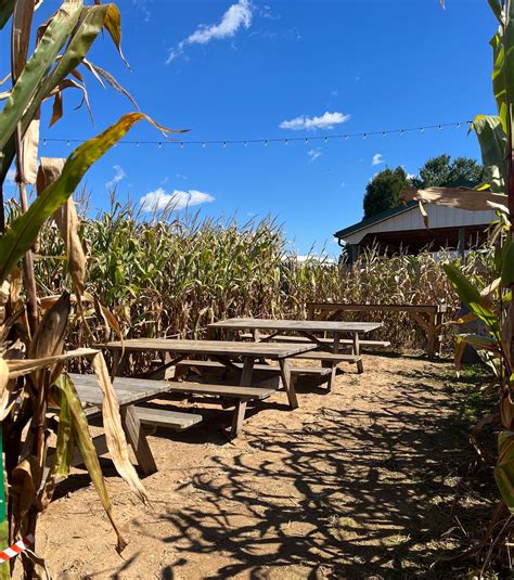 Beachmont Corn Maze Group Reservations — Beachmont: Developing the ...