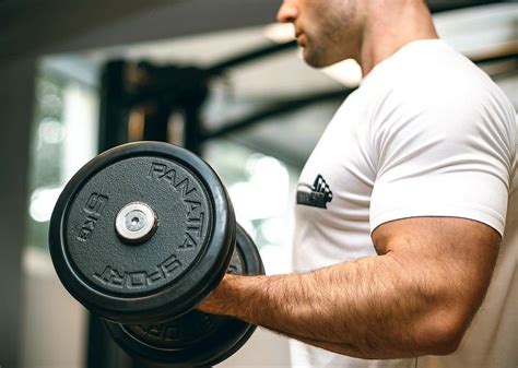 Programme Biceps 的图像结果