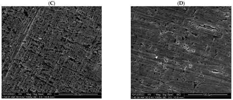 Ajuga orientalis L. Extract as a Green Corrosion Inhibitor of Aluminum ...