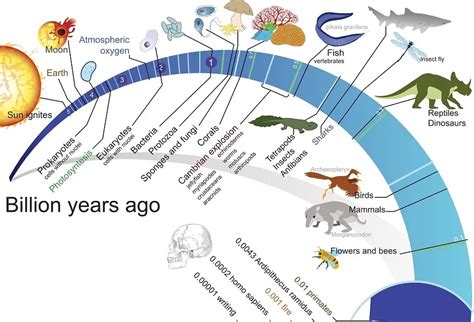 How Did Life First Form 的图像结果