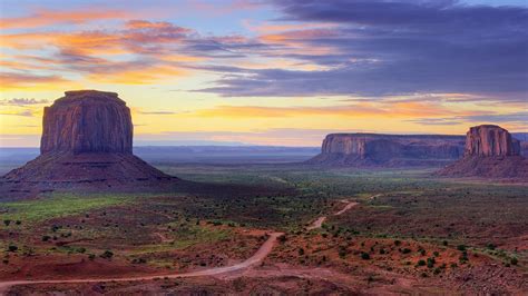 Utah State Flower Wallpaper1