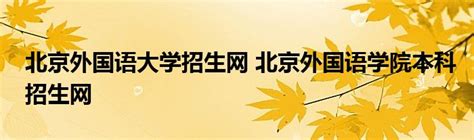 北京外国语大学国际项目招生考试说明会
