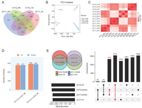 Transcriptomic and Metabolomic Analyses Reveal the Role of ...