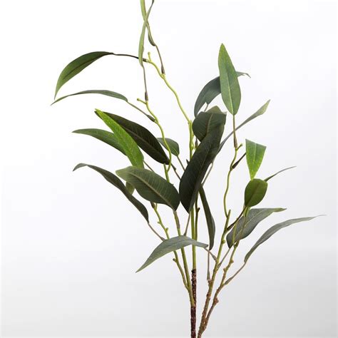 Buy Botanical Artificial Eucalyptus Branch - 70cm from Home Centre at ...