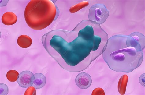 Image result for Computer Keyboard Symbol Methotrexate