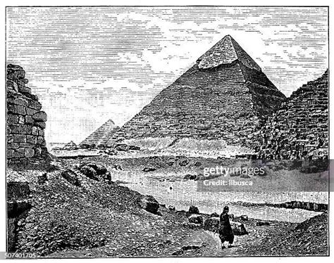 Pyramid Science 的图像结果