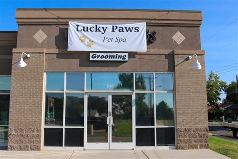 Learn More about Dog Grooming — Lucky Paws
