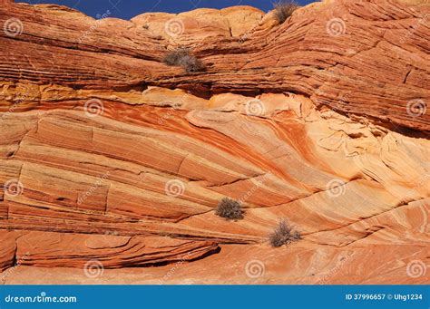 Image result for Merging Python Types