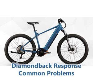 Diamondback .22 Function Bike Computer Manual 的图像结果