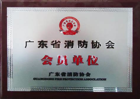 荣誉资质-消防维保-消防工程-消防检测-上海特领安全科技有限公司