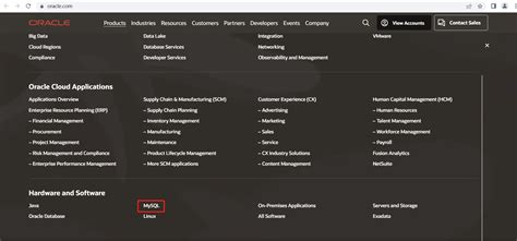 Oracle MySQL 的图像结果